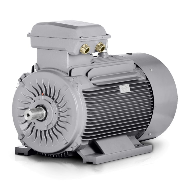 Moteur Aélectrique 250 kW 400V/690V 3000 tr/min (IE3-3LC-2-pôles) France Vente
