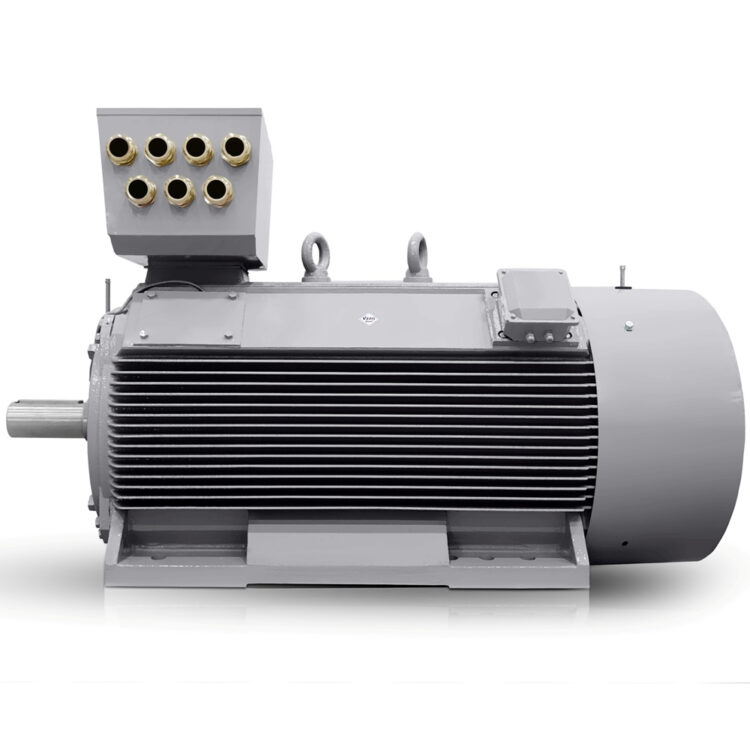 Moteur électrique basse tension 280 kW 400V/690V 750 tr/min (IE3-H17RL-8-pôles) Vente